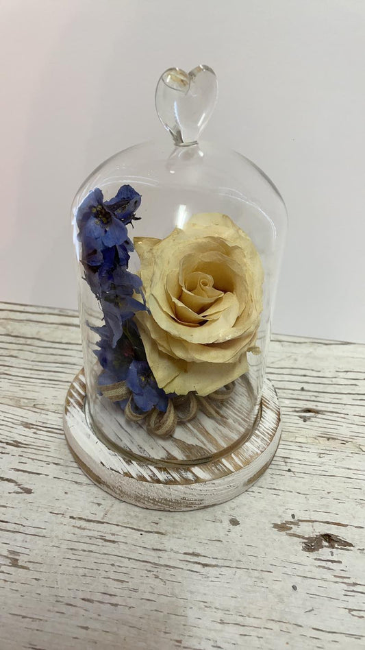 Small/Tall Glass Dome