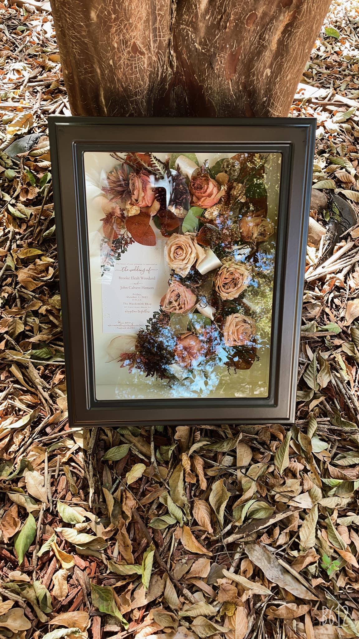 Shadow Box Preservation