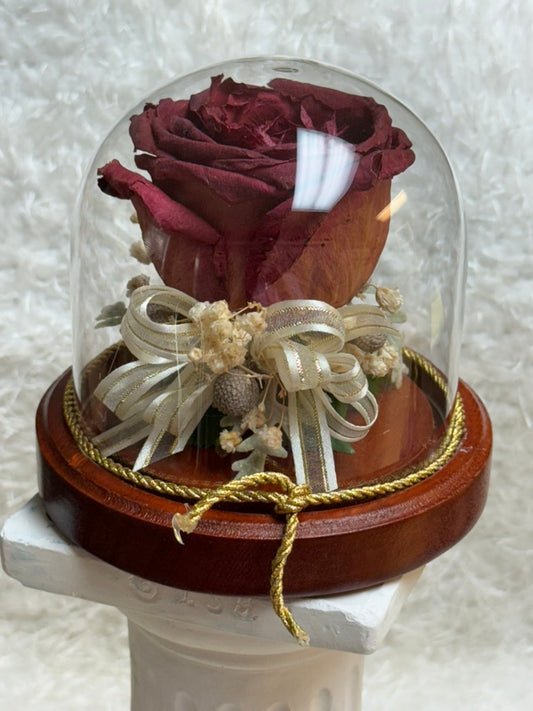 Small Dome (Short)