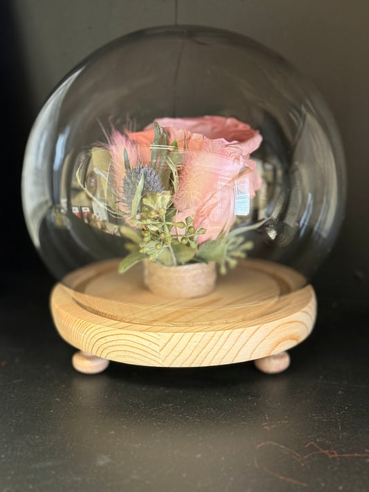 Small Dome (Short)