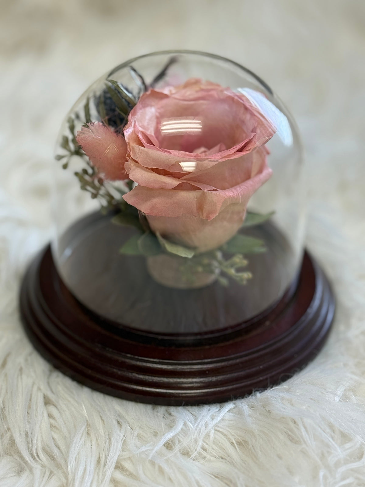 Small Dome (Short)