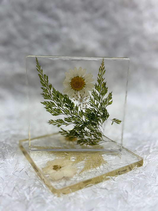 Resin Coaster Set