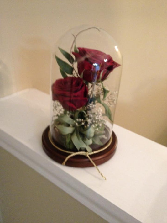 Small/Tall Glass Dome